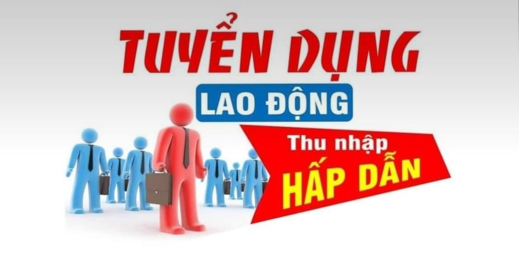 lĩnh vực hoạt động
